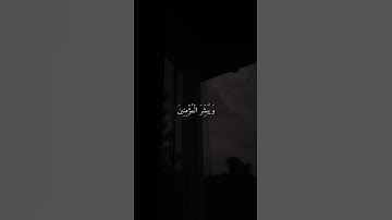 ماهر المعيقلي تلاوة خاشعة ومريحة ♡ || تلاوة قصيرة رائعة