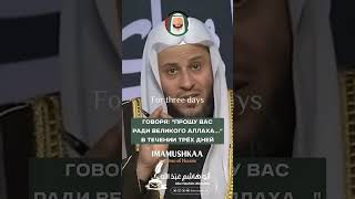 МУРАВЬИ В ДОМЕ - ПРИЗНАК СГЛАЗА ИЛИ НЕТ? #сглаз #магия #порча #лечение #вредители #зависть #религия