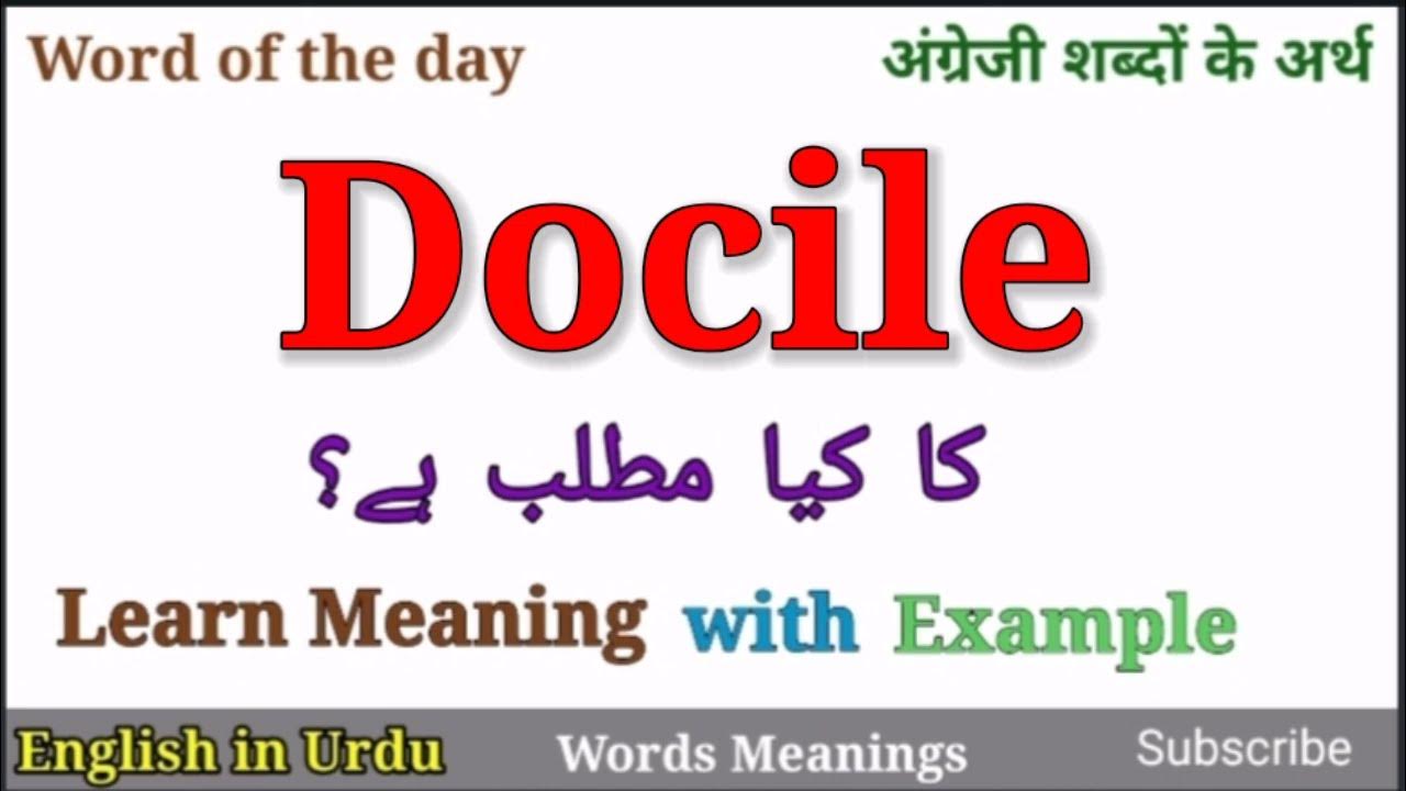 Docile Meaning In Urdu Vocabulary What Is Docile EnglishinUrdu docile-meaning-in-urdu-vocabulary-what-is-docile-englishinurdu