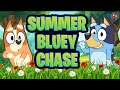 Bluey Summertime Adventure Quiz