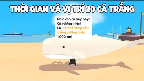 THỜI GIAN VÀ VỊ TRÍ 40 LOÀI CÁ TRẮNG MỚI | CÁ TÁNG ĐẦU TRẮNG | CÁ VOI ĐẦU CONG TRẮNG