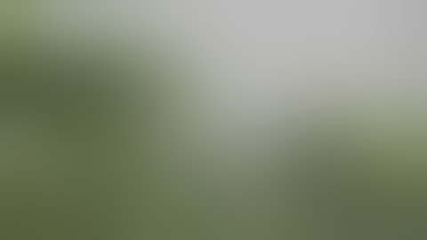 ラブストーリーズ10月11日公開作品 「妻が恋した夏」予告篇