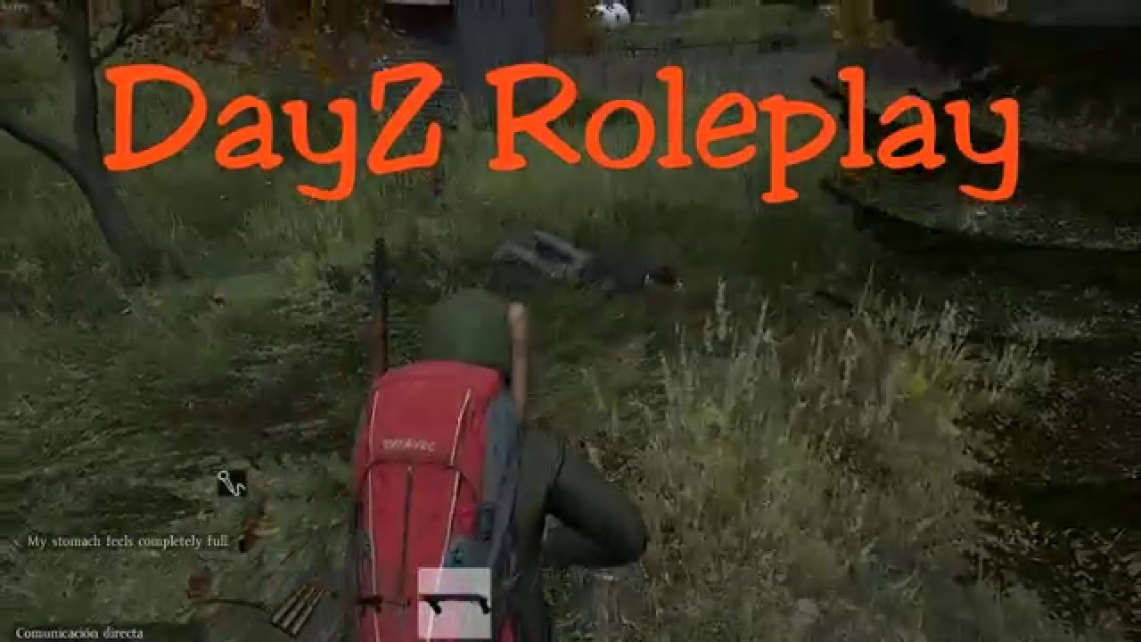 dayz rp servers whitelist dayz rp servers whitelist