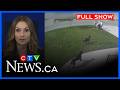 11-year-old and dog attacked by two rottweilers | CTV Windsor at 6, Thurs. May 14, 2026