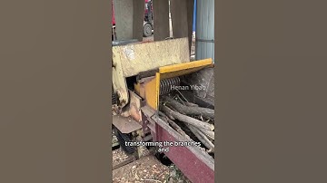 The drum chipper easily crushes branches and tree trunks#crusher #machine #crushingtime