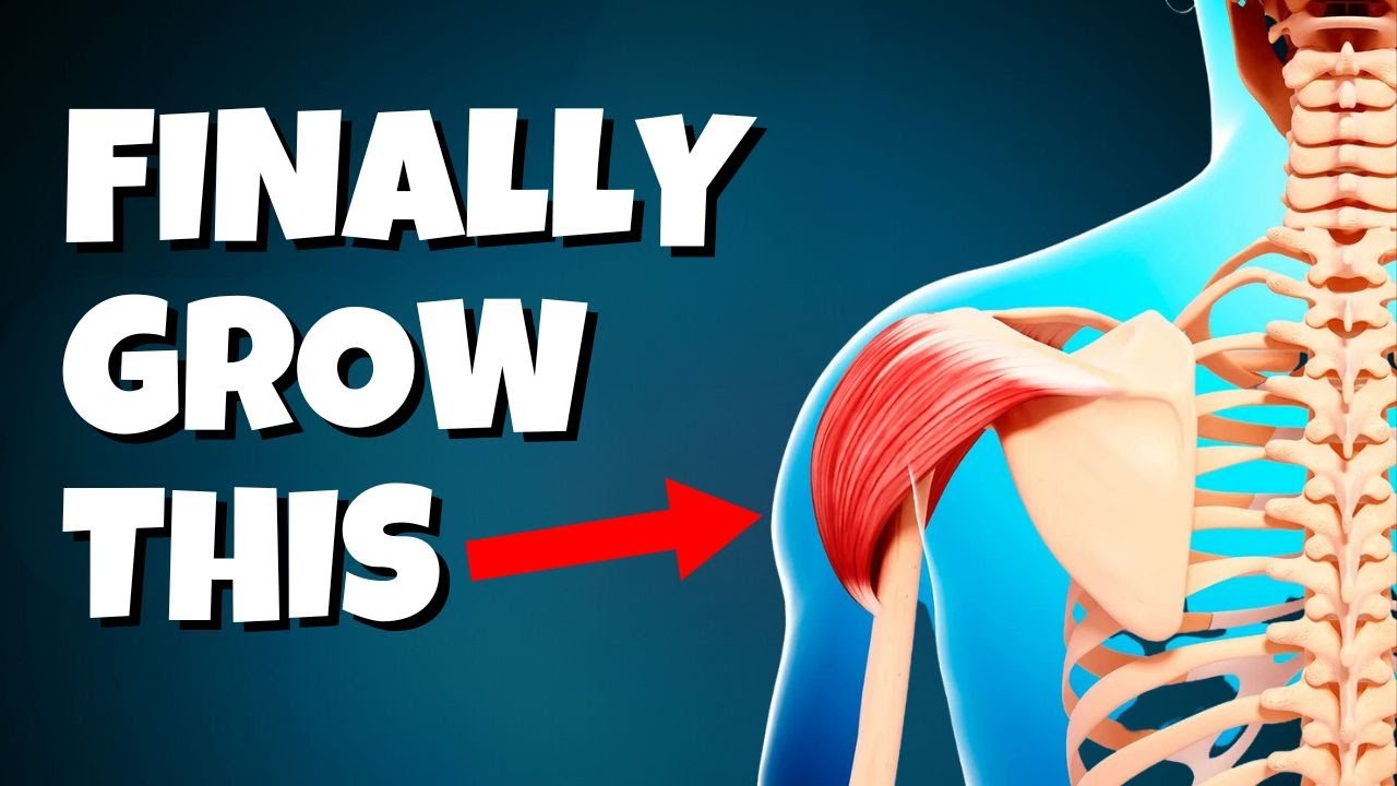 This Is The Secret To Rear Delt Training