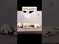 سلملي على الله