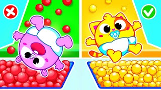 Learn Colors in Pools With Colored Balls for Kids | Funny Songs & Nursery Rhymes by Toddler Zoo