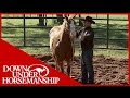 Clinton Anderson: Headshy: A Fundamental Fix, Part 2 - Downunder Horsemanship