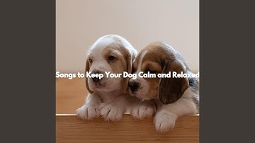 Pulsating Ambience for Comfortable Hounds