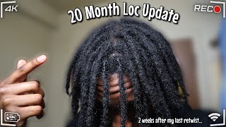 2 weeks since my last retwist... | 20 Month Loc Update