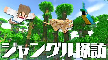 マインクラフト 確実にジャングル Mp3