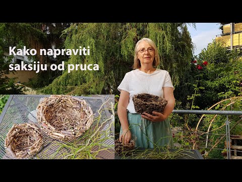 Video: Da li je plućnjak otporan?