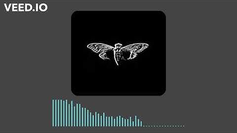 Cicada 3301 - The Instar Emergence