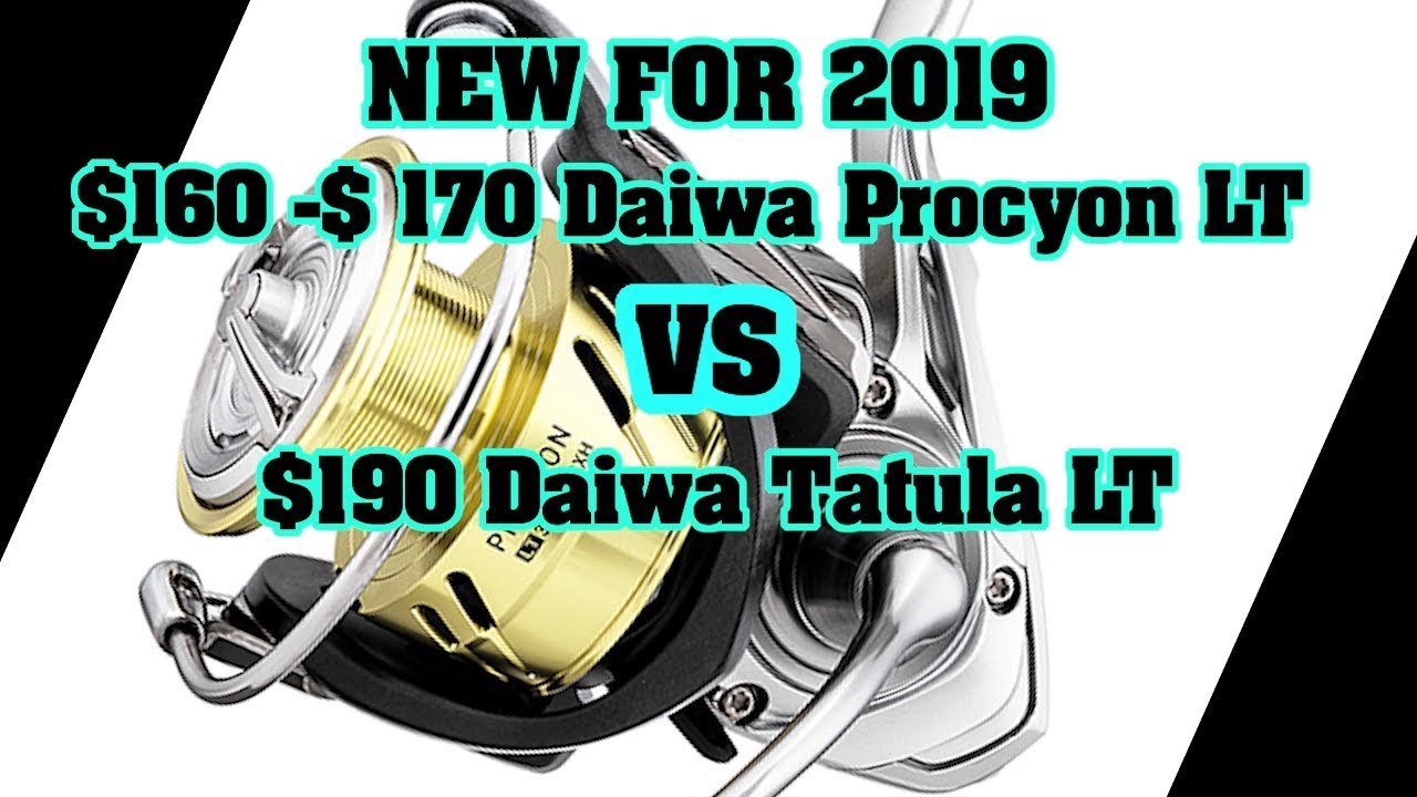 New 2019 $160 Daiwa compared to the Daiwa Tatula Lt 