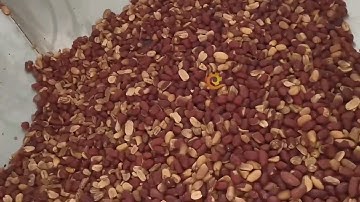 Fully automatic peanut butter manufacturing line 500kg 丨h