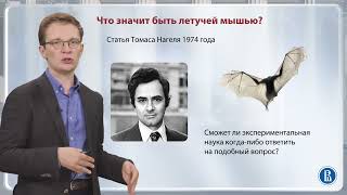 Проблема qualia / Лекция 11.2.  Философия сознания