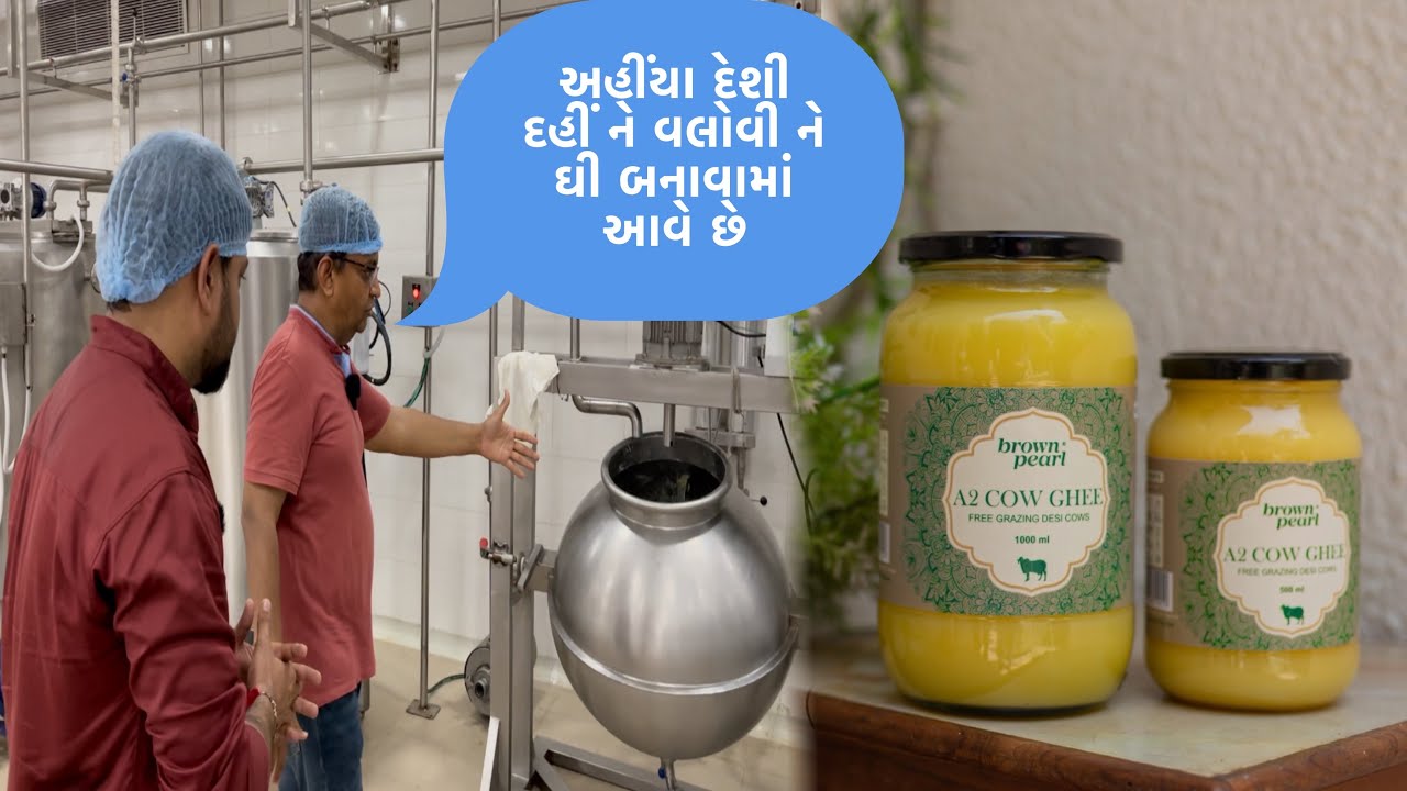 આ જગ્યા પર દેશી ગાયનું ઘી સાત્વિક કેમ કહેવાય છે આજે તે જાણીયે | જુનિ પદ્ધતિથી અહીંયા ઘી તૈયાર થાય છે