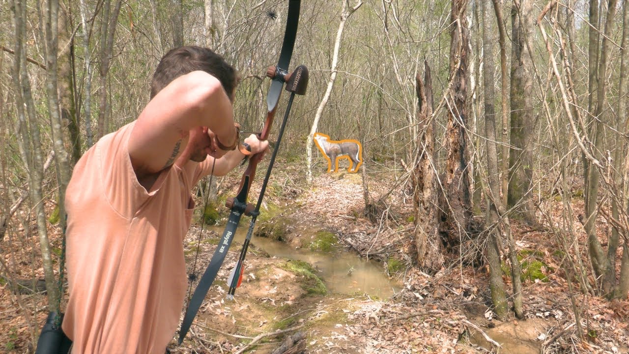 Traditional Bow 3D Shoot With My Dad!