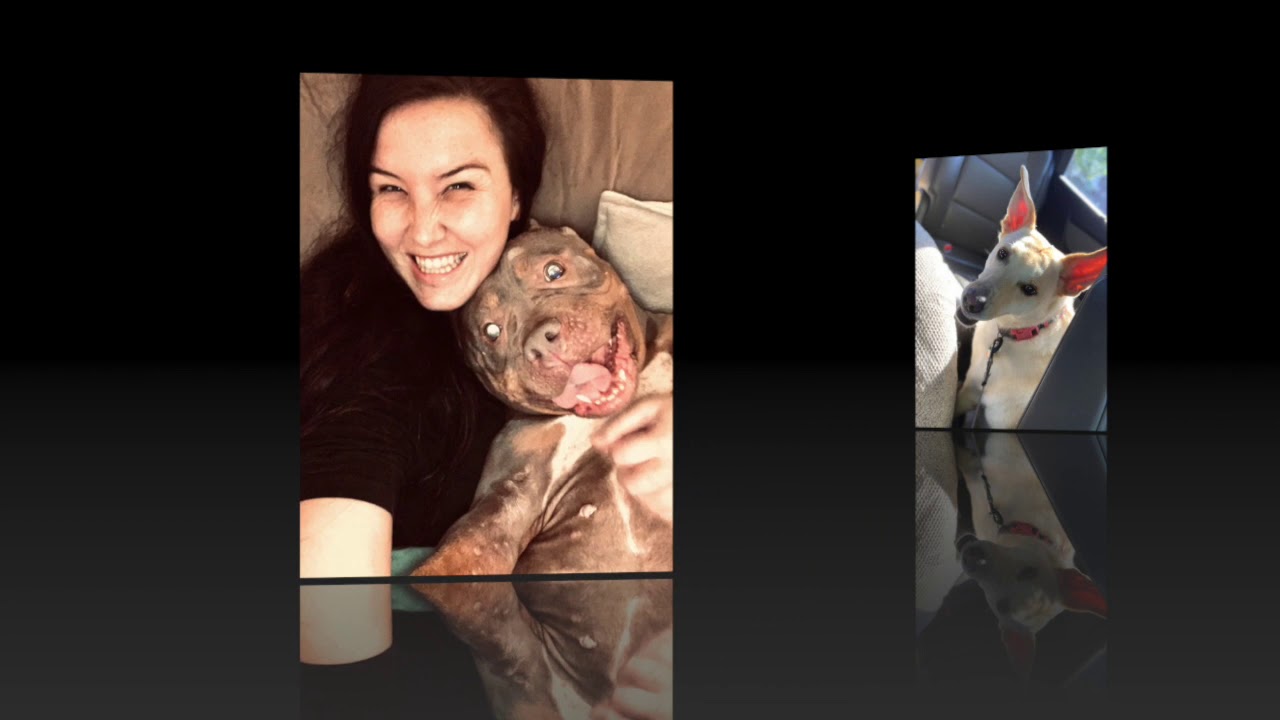 happy trails and tails