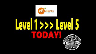 How to get to Level 5 ebucks quickly this month! #ebucks #fnb