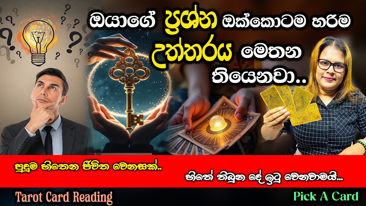 ඔයාගේ ප්‍රශ්න ඔක්කොටම හරිම උත්තරය මෙතන තියෙනවා.🤔| All your questions are answered here.