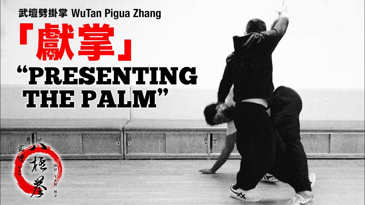武壇劈掛掌「獻掌」WuTan Pigua Zhang “Presenting the Palms”