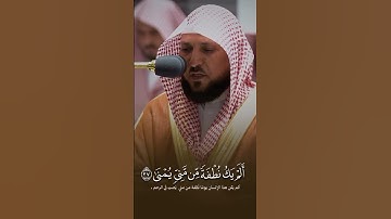 تلاوة خاشعة ومؤثرة للشيخ ماهر المعيقلي #اكسبلور #تيك_توك #duet #لايك #راحة_نفسية