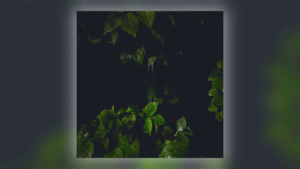 Martina Bertoni - Bright Wood [Audio]