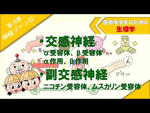 体性―自律神経反射の生理学 体性-自律神経反射の生理学-物理療法,鍼灸,手技療法の理論 | A
