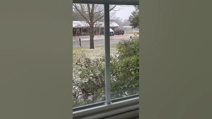 snow 2021