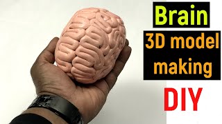 brain model - model of brain - how to make brain model - human brain model - diyas funplay - diy