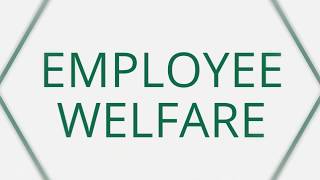 The Greentree Group Core Values: Employee Welfare