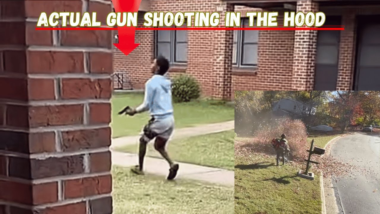 Video of shooting gun endangering kids / a fight against nature blasting leaves