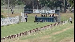 Capalaba-25022017-Race-2