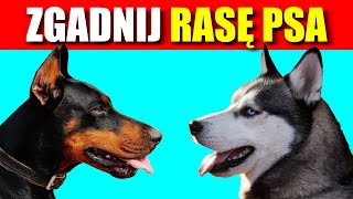 ZGADNIJ JAKA TO RASA PSA! #quiz #quiztime #rasapsa #zwierzęta #viral screenshot 5