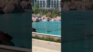 Relaxing In Celestial Park