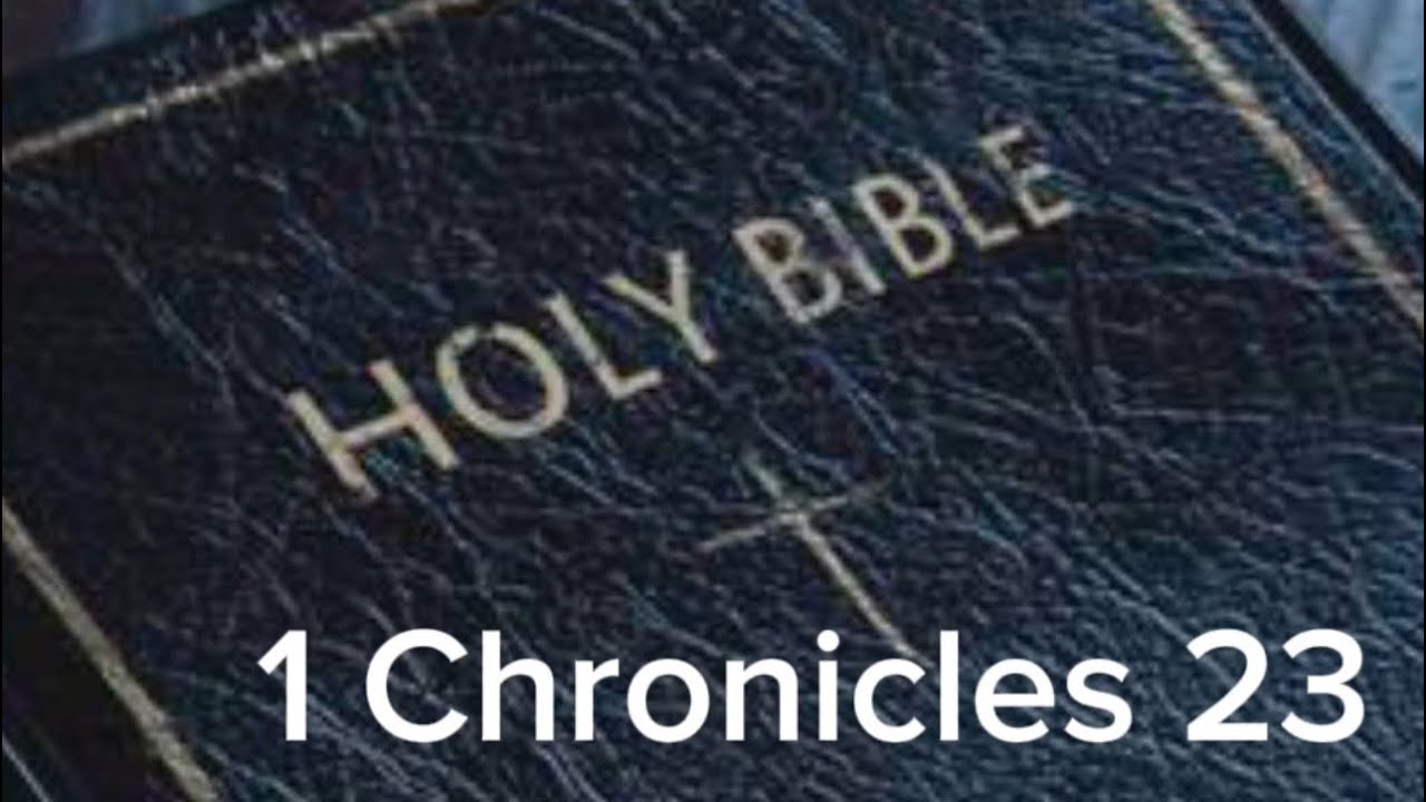 1 Chronicles 23 (NIV) The Audio Bible - YouTube