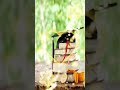 مبروك الثانويه العامه احباب رسول الله اناشيد دينيه المنشد رضوان محمود مبروك الثانويه العامه احباب رسول الله اناشيد دينيه المنشد رضوان محمود
