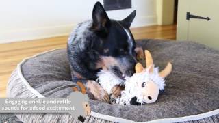 fishmate pond filter