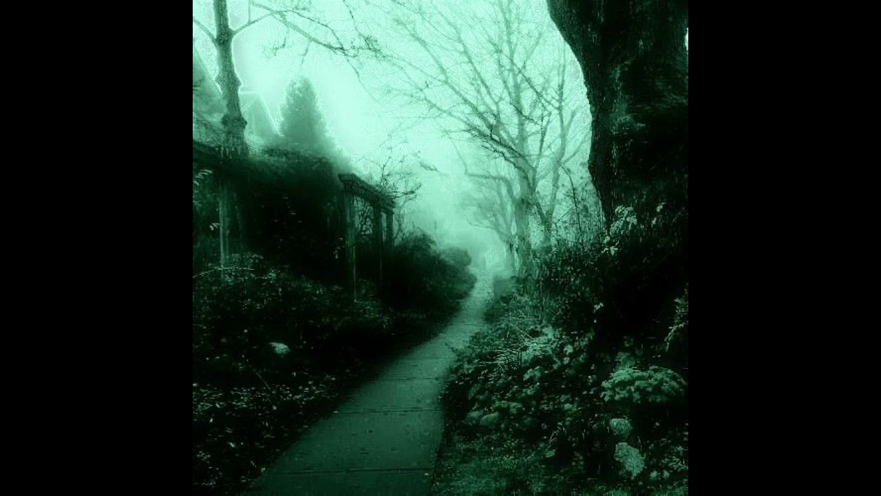 𝓵𝓲𝓷𝓴𝓲𝓷 𝓹𝓪𝓻𝓴- 𝓻𝓾𝓷𝓪𝔀𝓪𝔂 𝓼𝓹𝓮𝓭 𝓾𝓹 𝓿𝓮𝓻𝓼𝓲𝓸𝓷