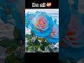Your FLOWER if you… #flower #aesthetic #viral #blowup