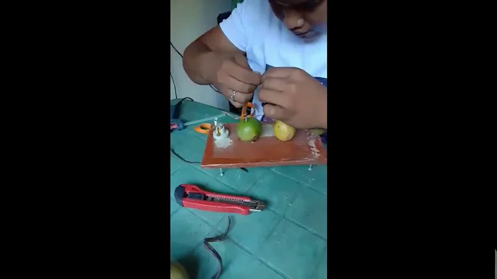 NATURAL BATTERY PROJECT BY: JOHN MICHAEL G. AVELLANO