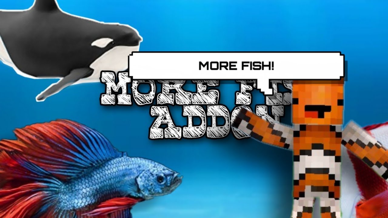 More Fish Updated|Orca,Pink Dolphins N More in Minecraft|Minecraft PE ...