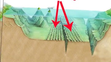 My Cycle 1 Science Week 18 Ocean Floor Movie