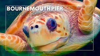 Day Trip To Bournemouth Pier and Oceanarium