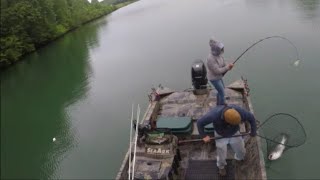 BIG CAT FEVER FISHING RODS