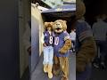 Sunday Funday: Celebrating at the Chicago Bears Game! #chicagobears #nfl #sports #football