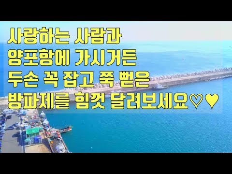 자동차보험승계