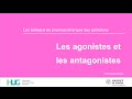 Les agonistes et les antagonistes